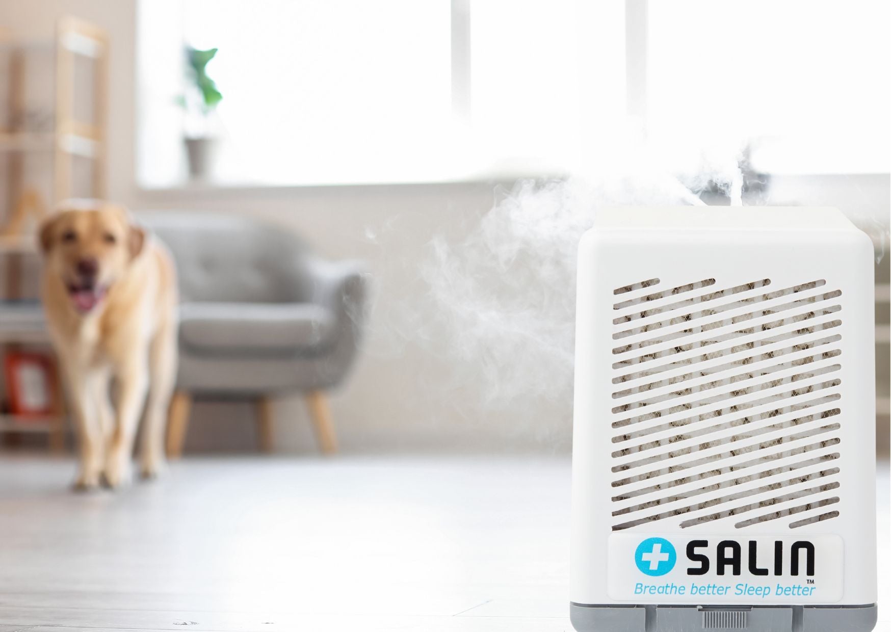 How Salin Plus Works: The Science Behind Dry Salt Therapy